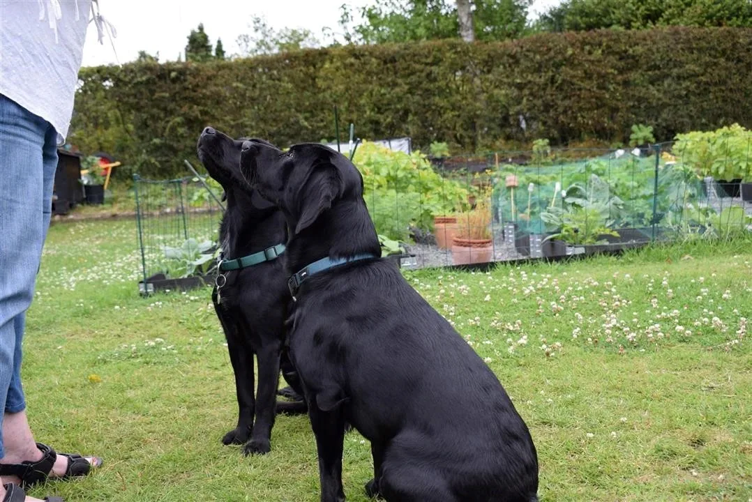 G22.3 last day with mette ian oscar otis assens (10)